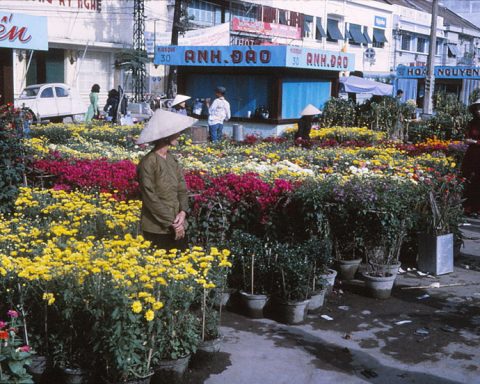 Chợ hoa Tết đường Nguyễn Huệ Trước 1975